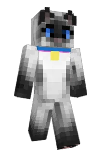 HeyJennii Minecraft avatar full body