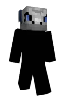 Hi6a Minecraft avatar full body