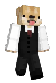 HiByeRDT Minecraft avatar full body