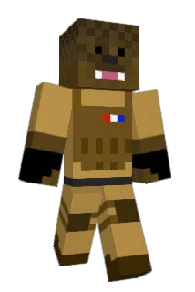 Hickforever11 Minecraft avatar full body