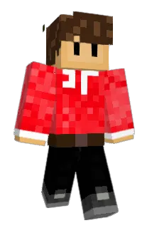 HiddenAceOS Minecraft avatar full body