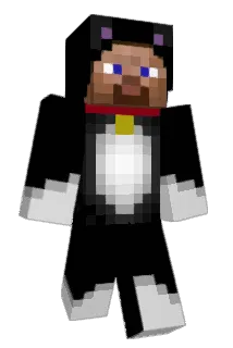 HiddenViod Minecraft avatar full body
