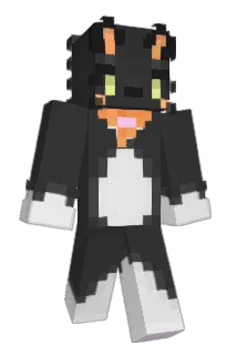 Hidekooooo Minecraft avatar full body