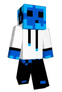 Higglestein Minecraft avatar full body