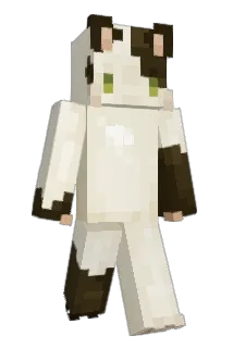 HighJoyRide Minecraft avatar full body