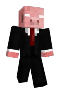 Hiko33 Minecraft avatar full body