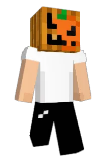 Hinkeli Minecraft avatar full body