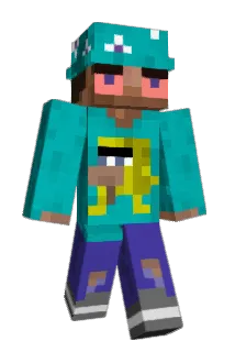 Hinsa Minecraft avatar full body