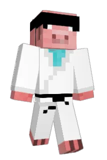 Hinsi_Master Minecraft avatar full body
