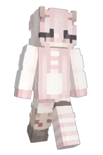 HiroMamoru Minecraft avatar full body