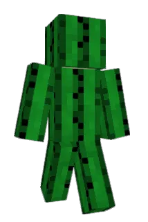 Hiroooooooooooo Minecraft avatar full body