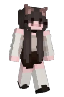 HisPinguin Minecraft avatar full body