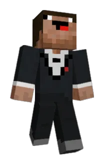 Histomicrograph Minecraft avatar full body