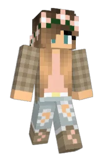 History__ Minecraft avatar full body