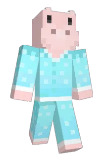 Hit_S Minecraft avatar full body