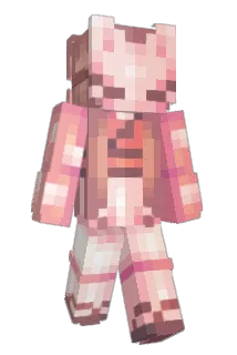 Hjonk_Goose Minecraft avatar full body