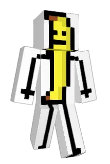 HlR0S Minecraft avatar full body