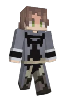 Minecraft-Avatar von Hltogaml: ganzer Körper