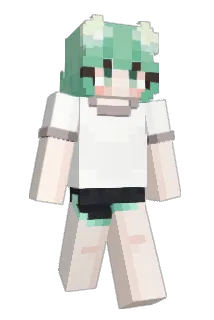 Hmaker404 Minecraft avatar full body