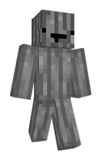 Hmzyy05 Minecraft avatar full body