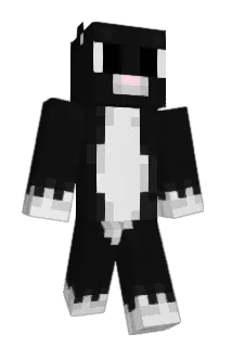 Hnk0_ Minecraft avatar full body