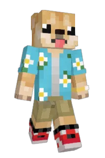 Hoaak Minecraft avatar full body