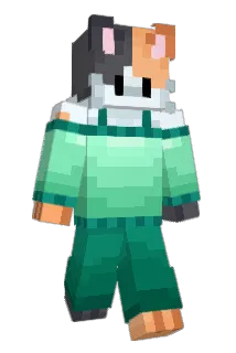 Hobbytwo Minecraft avatar full body