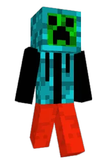Hobodomis Minecraft avatar full body