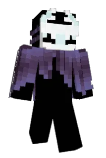 Hocoma Minecraft avatar full body