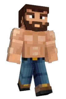Hodswe Minecraft avatar full body