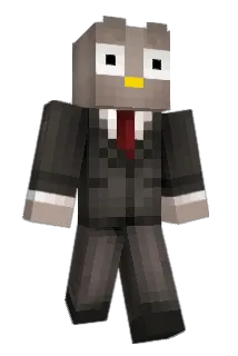 HoitDooly Minecraft avatar full body