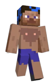 Hoizbau Minecraft avatar full body