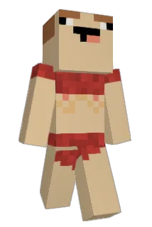 Hojer_ Minecraft avatar full body