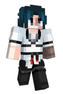 Hokexy Minecraft avatar full body