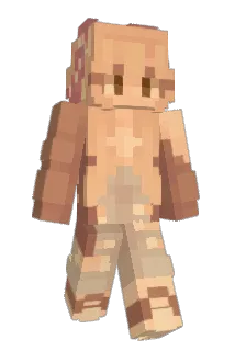 HolidayHope2020 Minecraft avatar full body