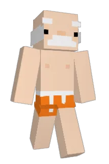 Hollandians Minecraft avatar full body