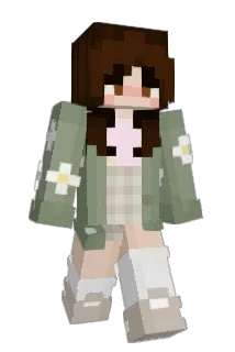 Hollog Minecraft avatar full body