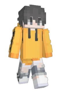 HomlessNon Minecraft avatar full body