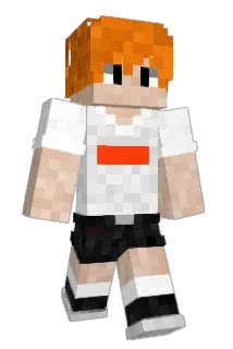 Homobolzen Minecraft avatar full body