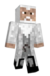 Honestflunky Minecraft avatar full body