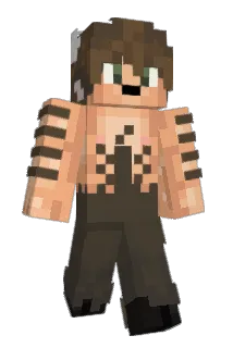 HoneycombCatBee Minecraft avatar full body