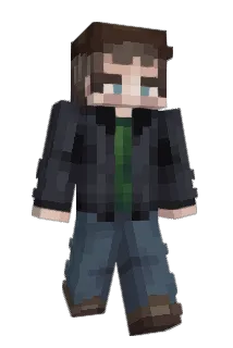 HonkusCat Minecraft avatar full body