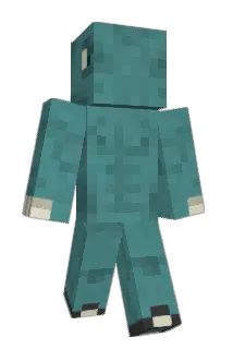 Honkychonky Minecraft avatar full body