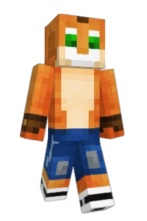 HoodSquirtle Minecraft avatar full body