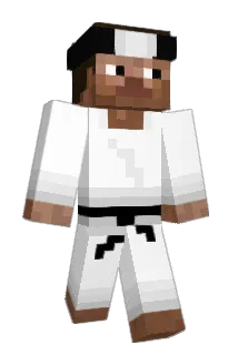 Hoodto Minecraft avatar full body