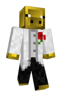 HoodyLAX05 Minecraft avatar full body