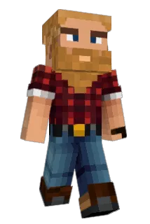 Hoomal Minecraft avatar full body