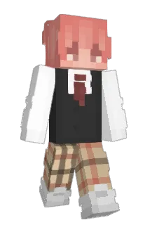 Hooters6969 Minecraft avatar full body