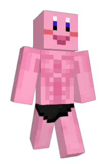 Hopip Minecraft avatar full body