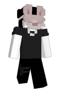 HoppKind Minecraft avatar full body